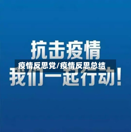 疫情反思党/疫情反思总结-第2张图片