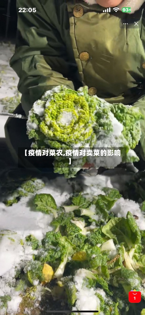 【疫情对菜农,疫情对卖菜的影响】-第3张图片
