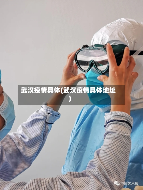 武汉疫情具体(武汉疫情具体地址)-第3张图片