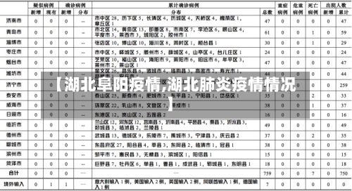 【湖北阜阳疫情,湖北肺炎疫情情况】-第1张图片