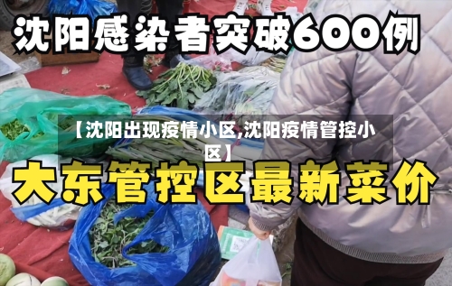 【沈阳出现疫情小区,沈阳疫情管控小区】-第1张图片