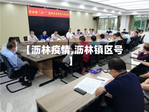 【沥林疫情,沥林镇区号】-第3张图片