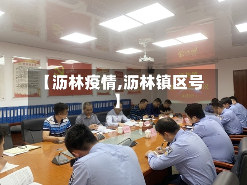 【沥林疫情,沥林镇区号】-第1张图片