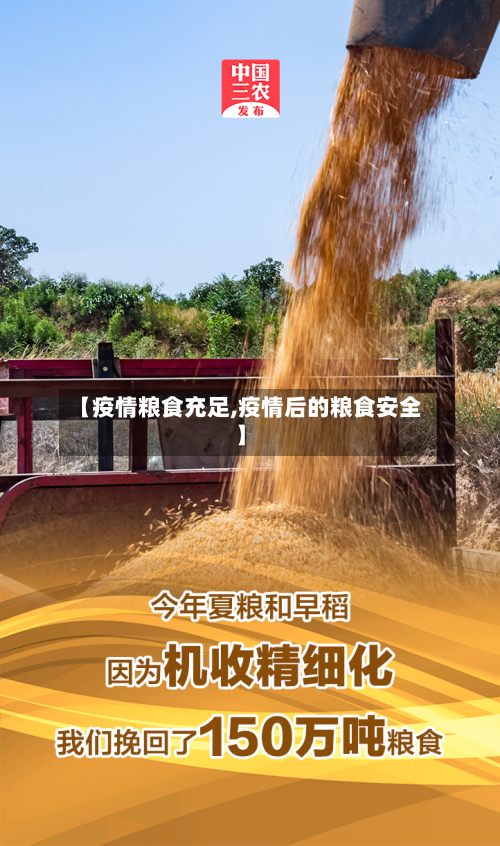 【疫情粮食充足,疫情后的粮食安全】-第3张图片
