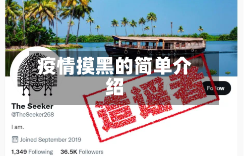 疫情摸黑的简单介绍-第2张图片