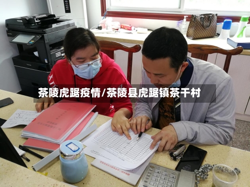 茶陵虎踞疫情/茶陵县虎踞镇茶干村-第1张图片