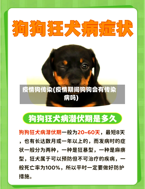 疫情狗传染(疫情期间狗狗会有传染病吗)-第1张图片