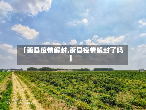 【萧县疫情解封,萧县疫情解封了吗】-第1张图片