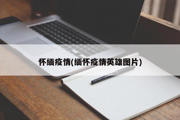 怀缅疫情(缅怀疫情英雄图片)